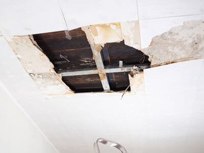 About Rapid Dry Atlanta - mold remediation atlanta experts in Atlanta