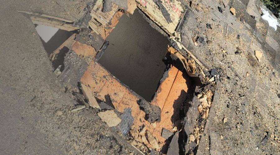 Why choose Rapid Dry Atlanta for mold remediation atlanta in Atlanta